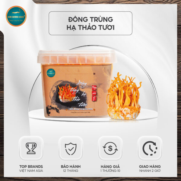 Đông trùng hạ thảo tươi Kim Cương Vàng