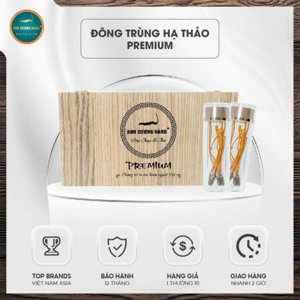 Đông trùng hạ thảo Premium Kim Cương Vàng