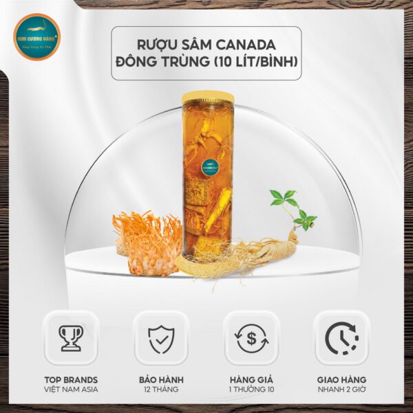 Rượu sâm Canada đông trùng hạ thảo Kim Cương Vàng