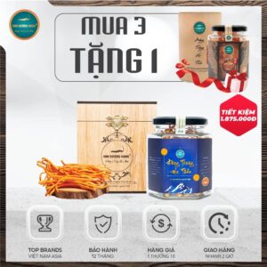 Combo mua 3 tặng 1 Đông trùng hạ thảo khô 15gr