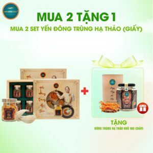 Combo Yến DTHT hộp giấy