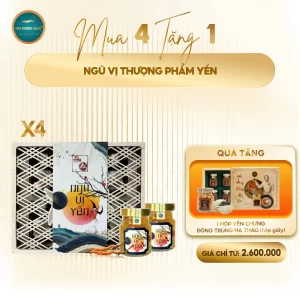 Mua 4 tặng 1 ngũ vị thượng phẩm yến đông trùng hạ thảo