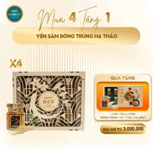 Mua 4 Tặng 1 yến sâm Đông Trùng Hạ Thảo